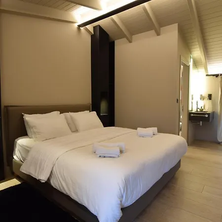 Hotel Anesis