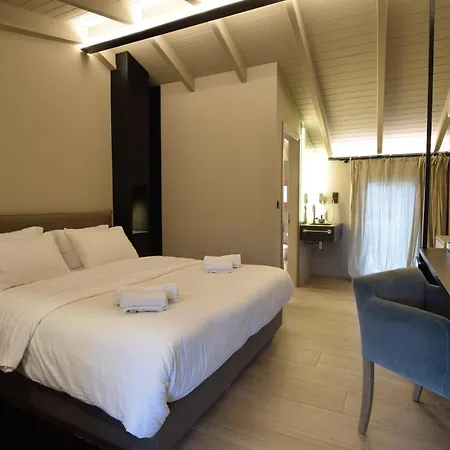 Anesis 3*