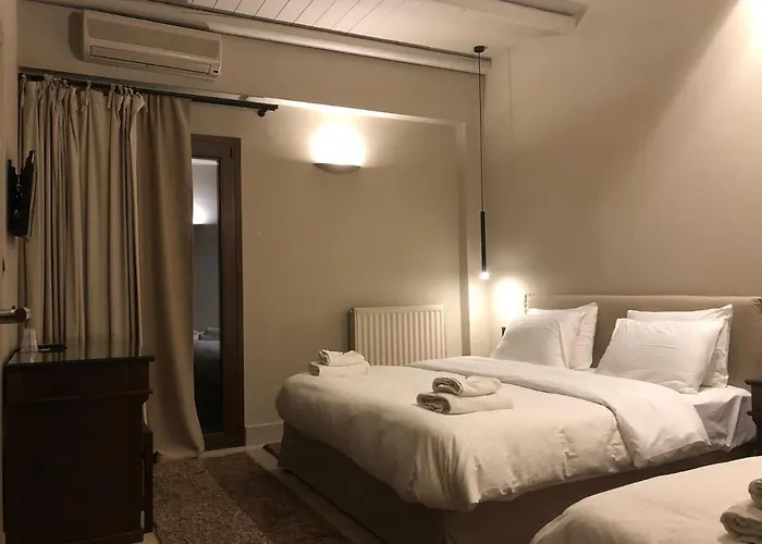 Отель Anesis 3*